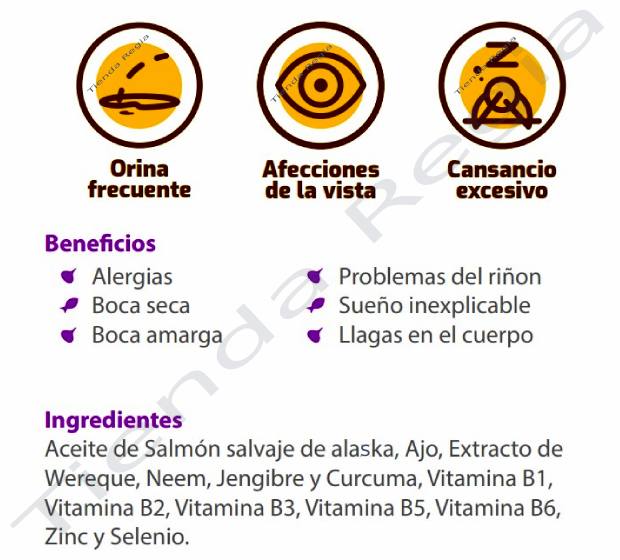 beneficios del Mr Ajo omega diabetes: Combate boca seca y amarga-Previene problemas del riñón-Regula el sueño-Ayuda a curar las llagas en el cuerpo-Aminora las alergias-Baja los niveles de glucosa.

INGREDIENTES: Aceite de salmón salvaje de Alaska, Ajo, Extracto de wereke, Neem, Jengibre, Cúrcuma, Vitamina B1, B2, B3, B5 y B6, Zinc y Selenio.