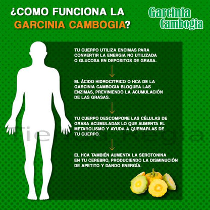 Cómo funciona la garcinia cambogia -De venta en Tienda Regia