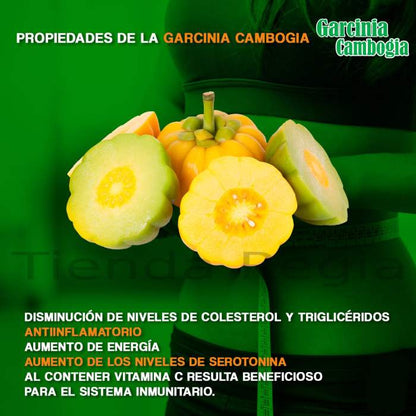 propiedades de la garcinia cambogia-De venta en Tienda Regia