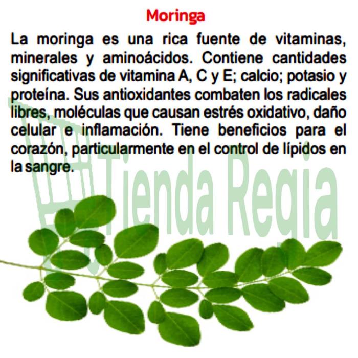 BENEFICIOS DE MORINGA HIERBAS DE ORO-De venta en Tienda Regia.