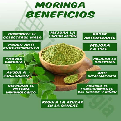 imagen de moringa en polvo en un plato y dice: Beneficios de la Moringa: disminuye el colesterol, mejora la circulacion, podere antioxidante, antienvejecimiento, mejora la digestion, etc-De venta en Tienda Regia.