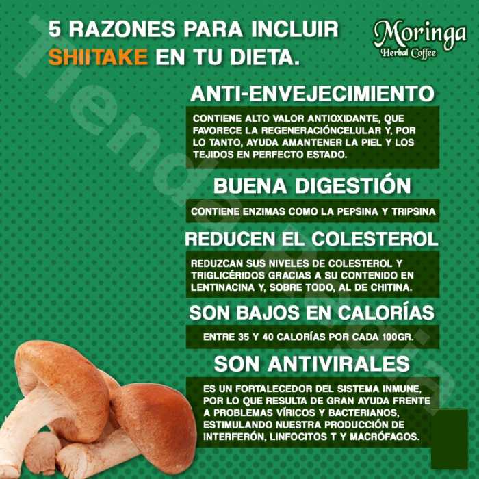 Beneficios del Shitake -De venta en Tienda Regia.